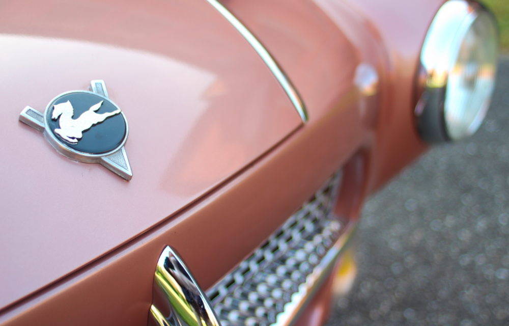 Pegaso 1