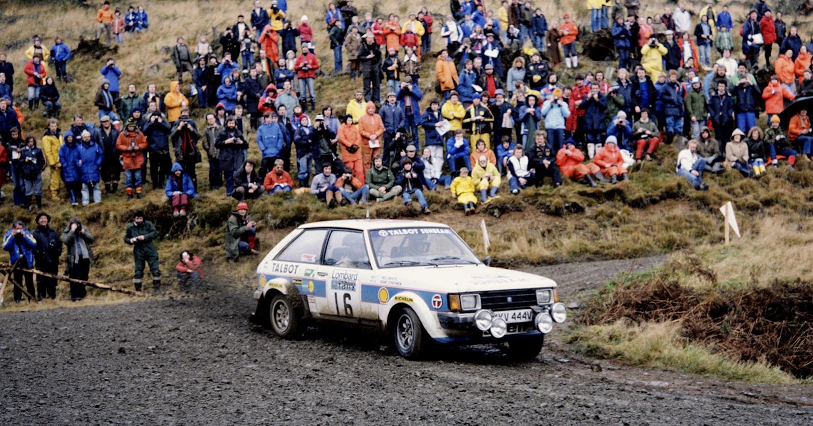 Championnat du monde des rallyes 1981 Peugeot par procuration